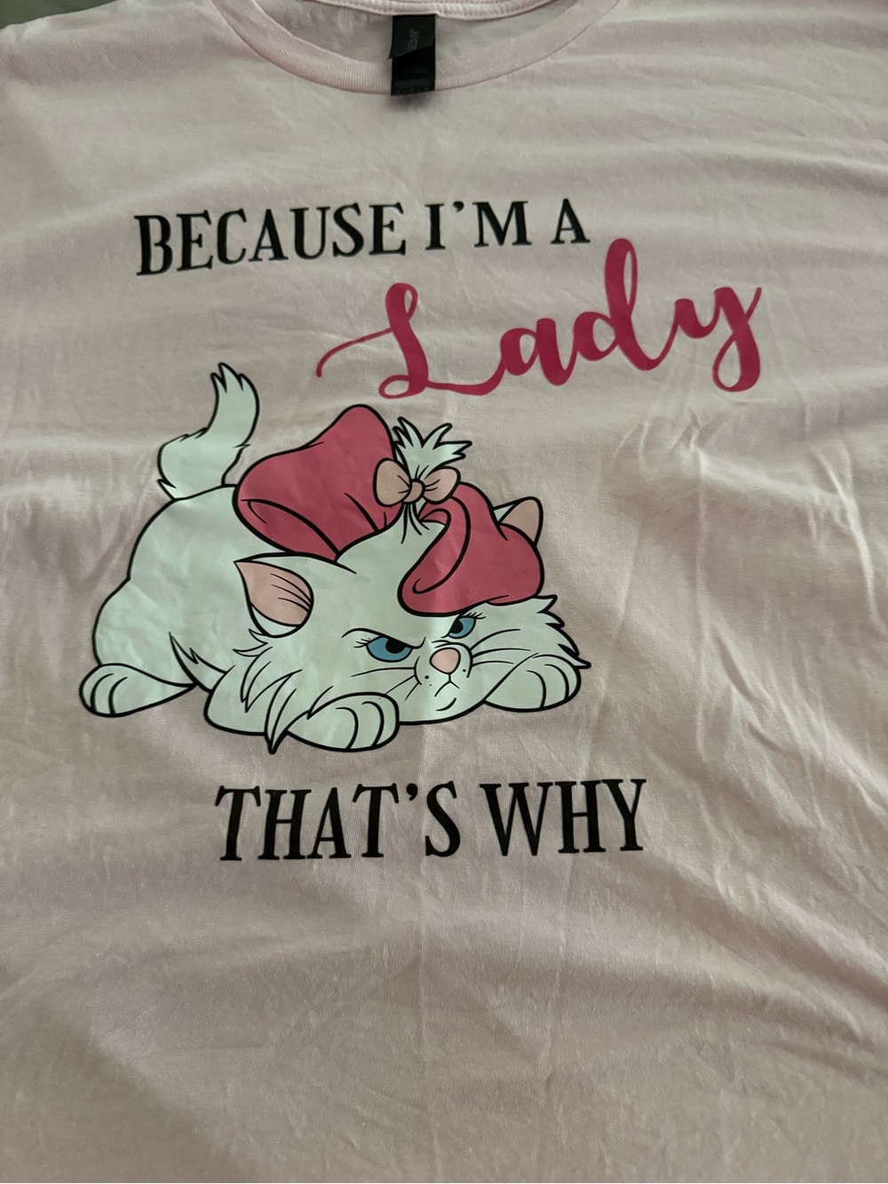 Disneybounding MARIE tshirt